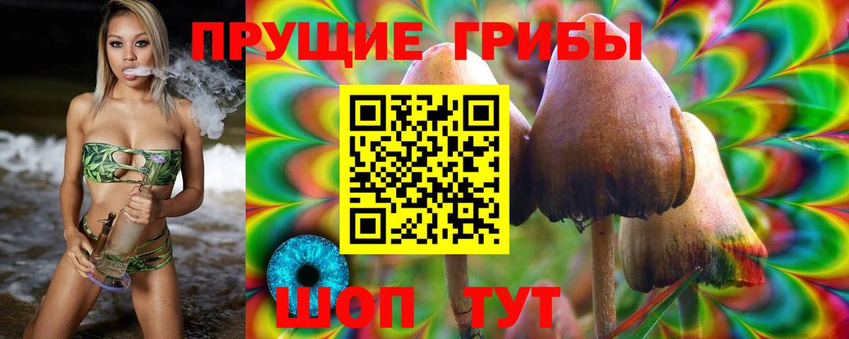 Псилоцибиновые грибы Cubensis  Вход с VPN  Ступино 